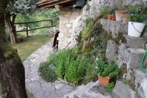B&B Allo Spizzo