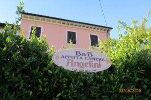 B&B Angelini
