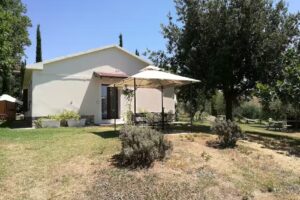 B&B Artemisia negli ulivi