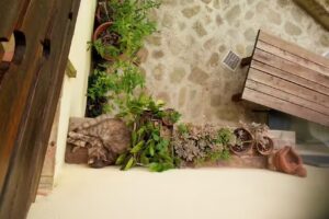 B&B Atelier Monteverde