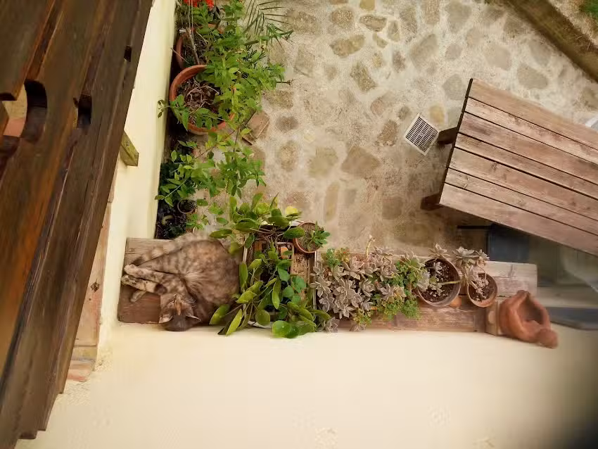 B&B Atelier Monteverde