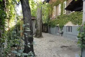 B&B Attenti al lupo!