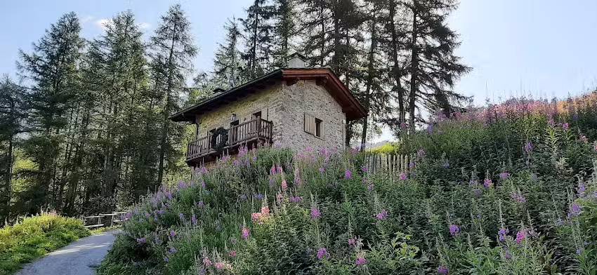 B&B Baita In Montagna