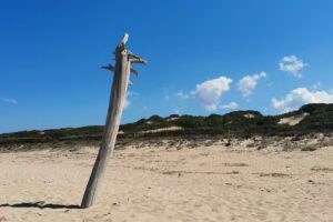 B&B Basilica San Gavino