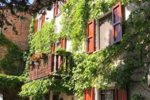 B&B Borgo del Folletto