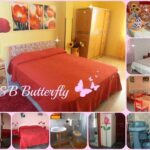 B & B Butterfly