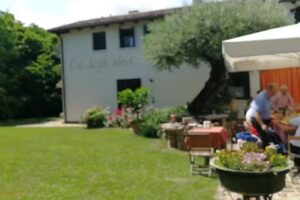 B&B Ca’ Degli Ulivi
