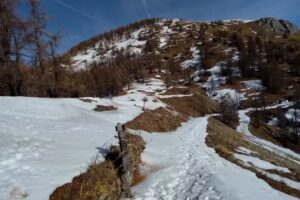 B&B Casa del Merlo Canterino