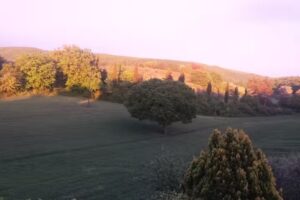 B&B Casale Campodoro