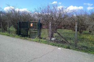 B&B Casale del Barco