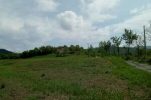 B&B Cascina Granbego