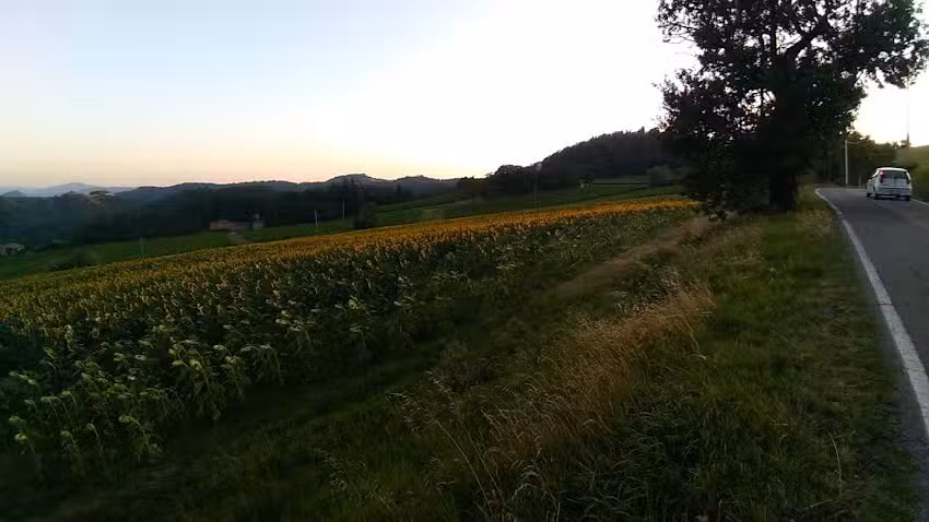 B&B Casina Belvedere