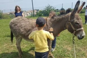 B&b Colle Delle Mandorle