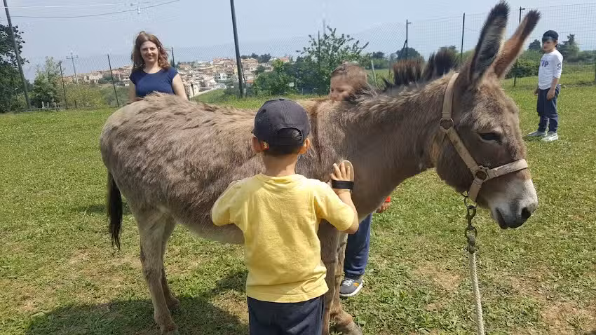B&b Colle Delle Mandorle