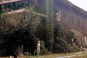 B&b Contessa scarselli