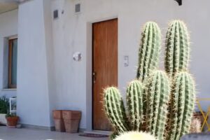 B&B del Cactus