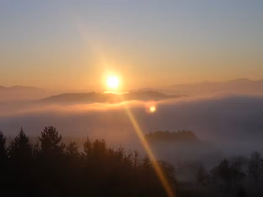 B&B Del Leone di Ciampi Lucio