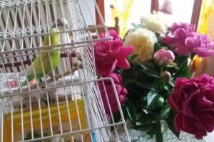 B&b Expo Casa Martina