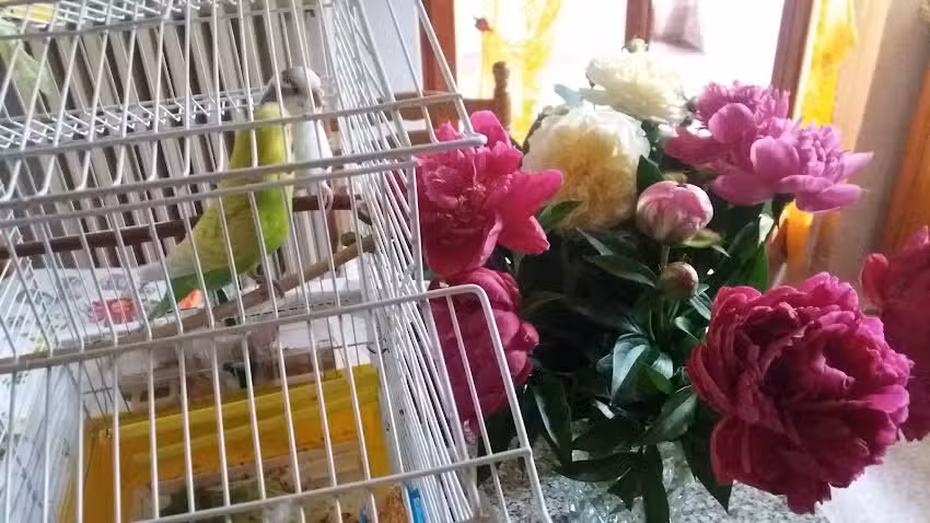 B&b Expo Casa Martina