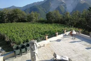 B&B Galleria Ars Apua