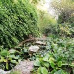 B&B Giardino della Valle