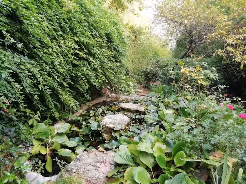 B&B Giardino della Valle