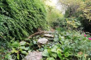 B&B Giardino della Valle