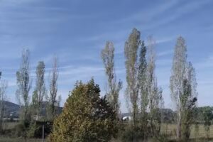 B&B Il Casale Tra I Vigneti