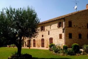 B&B Il Gallo del Vicino