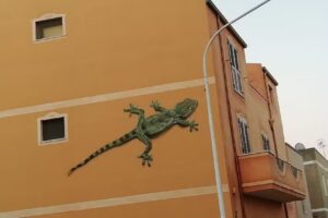 B&B il Gekko