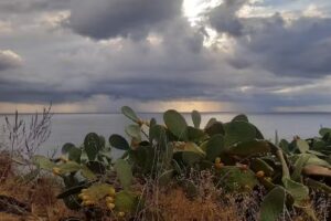 B&B IL GIARDINO DEI LIMONI