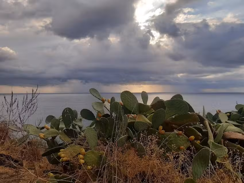 B&B IL GIARDINO DEI LIMONI