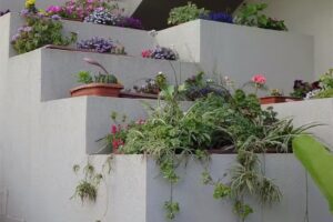 B&B Il Giardino Di Enea