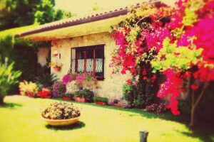 B&B Il Giardino Fiorito