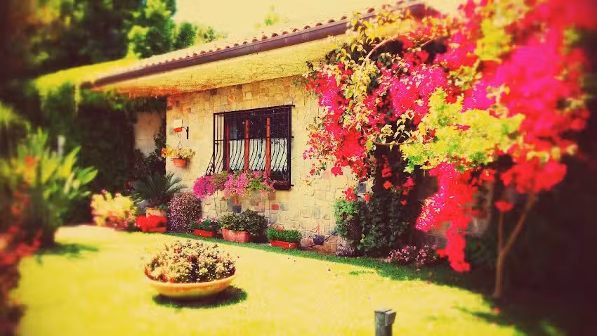 B&B Il Giardino Fiorito