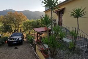 B&B Il Melo Cotogno