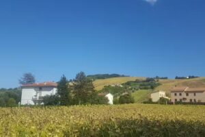 B&B Il Ponte di Legno