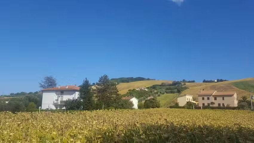 B&B Il Ponte di Legno