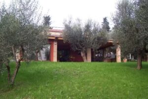 B&B Isola degli Ulivi