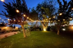 B&B L’Albero del Pepe