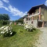 B&B L’Albero Maestro