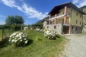 B&B L’Albero Maestro