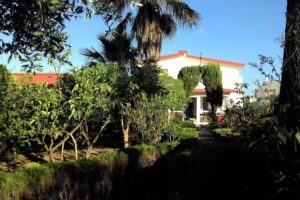 B&B L’Oasi dei Sogni