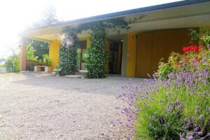 B&B L’Uva Fragolina