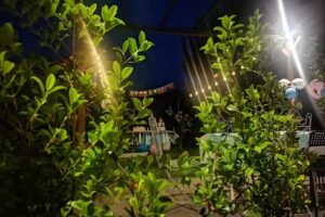 B&B la Cage aux folles