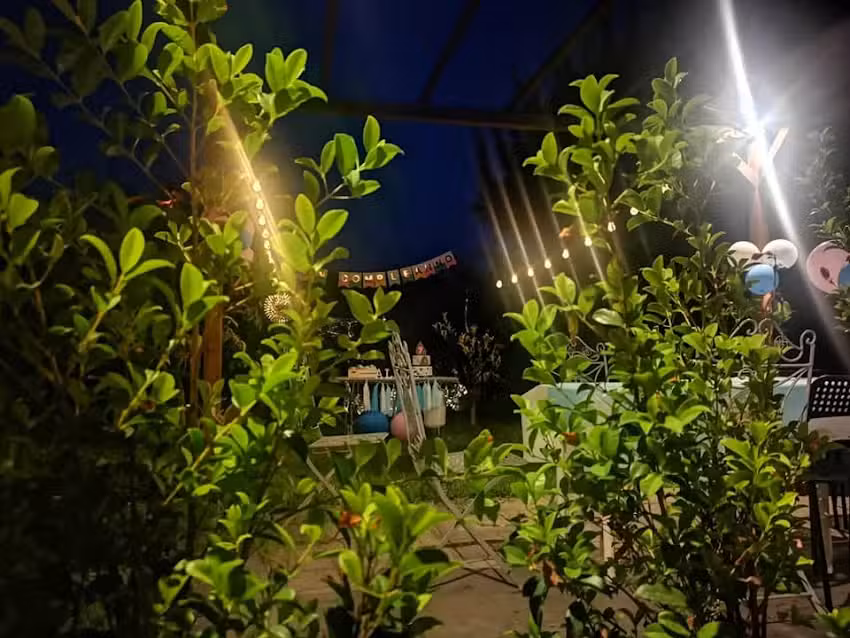 B&B la Cage aux folles