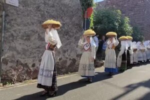 B&B La Casa dei Nonni