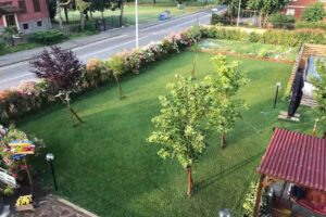 B&B La Casa del Barbiere