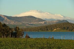 B&B La Casa del Mietitore