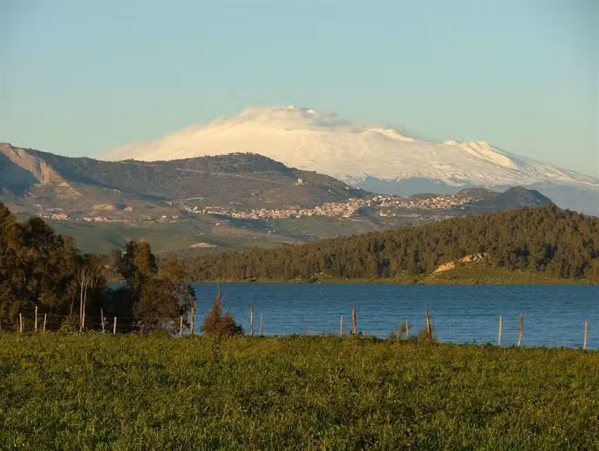 B&B La Casa del Mietitore